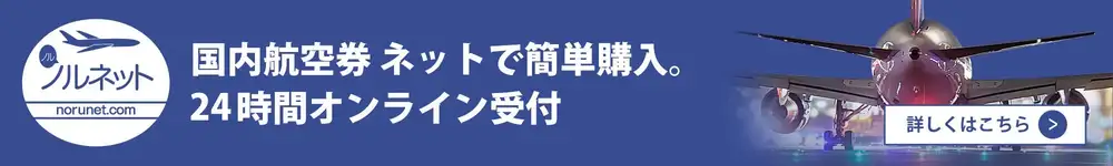 国内航空券ネットで簡単購入。２４時間オンライン受付